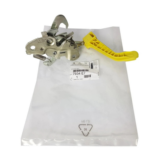 Chapa de capot Peugeot Partner